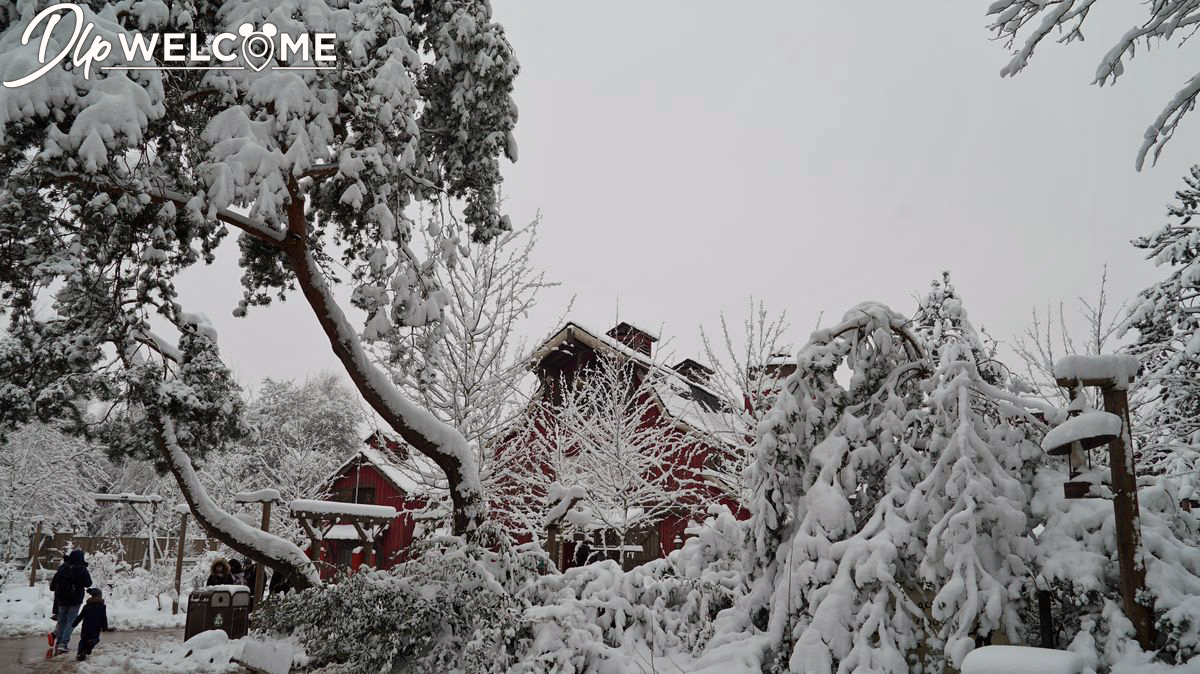 , Disneyland Paris Under a Magical Blanket of Snow