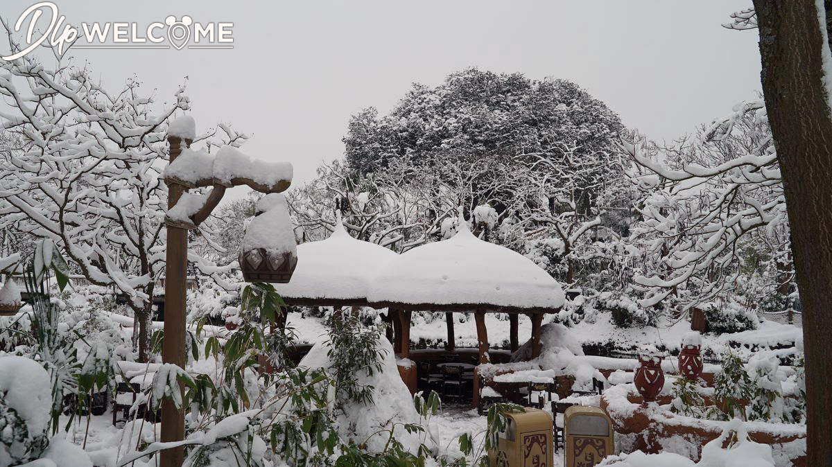 , Disneyland Paris Under a Magical Blanket of Snow