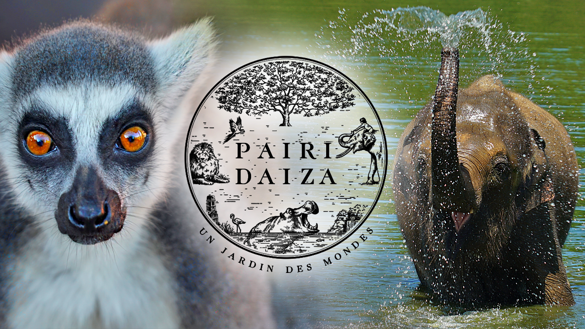 [Fr/En] Pairi Daiza Resort Zoo & Hotels DLP