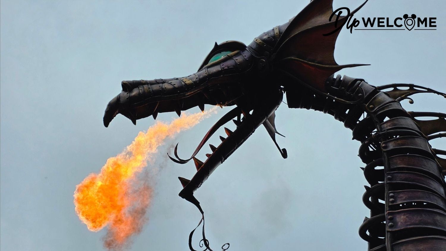 Accéder à la zone privilégiée Disney Stars on Parade : Votre guide complet