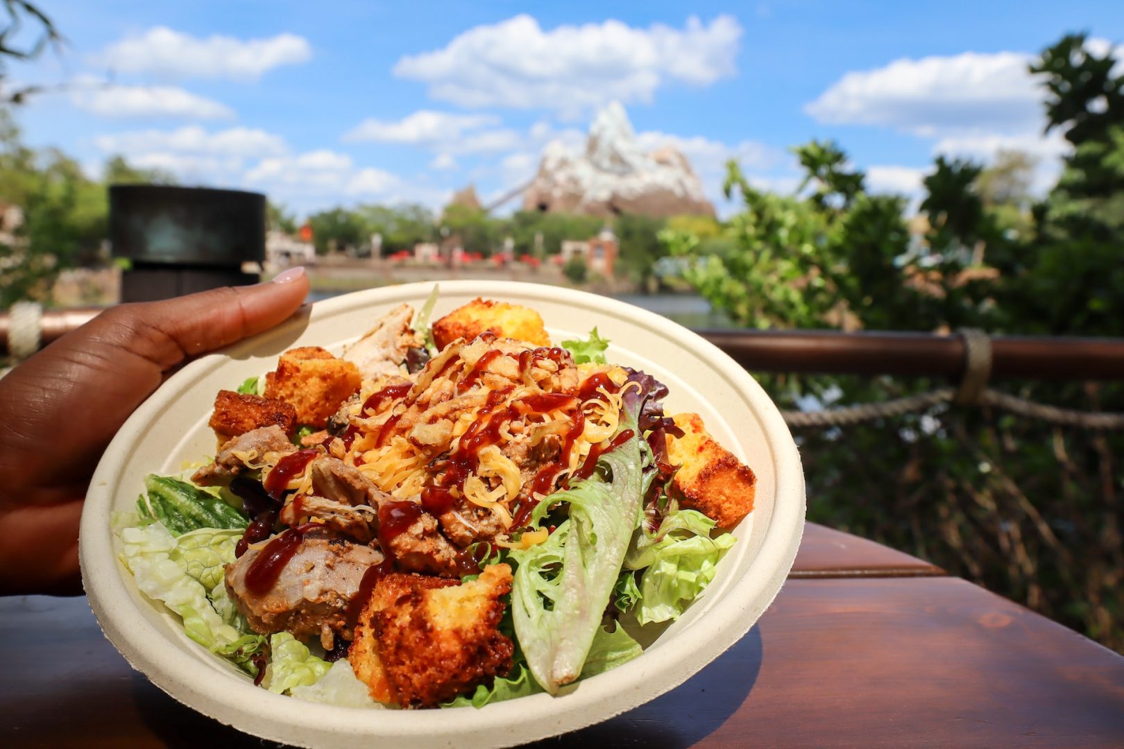 Disney's Animal Kingdom Food