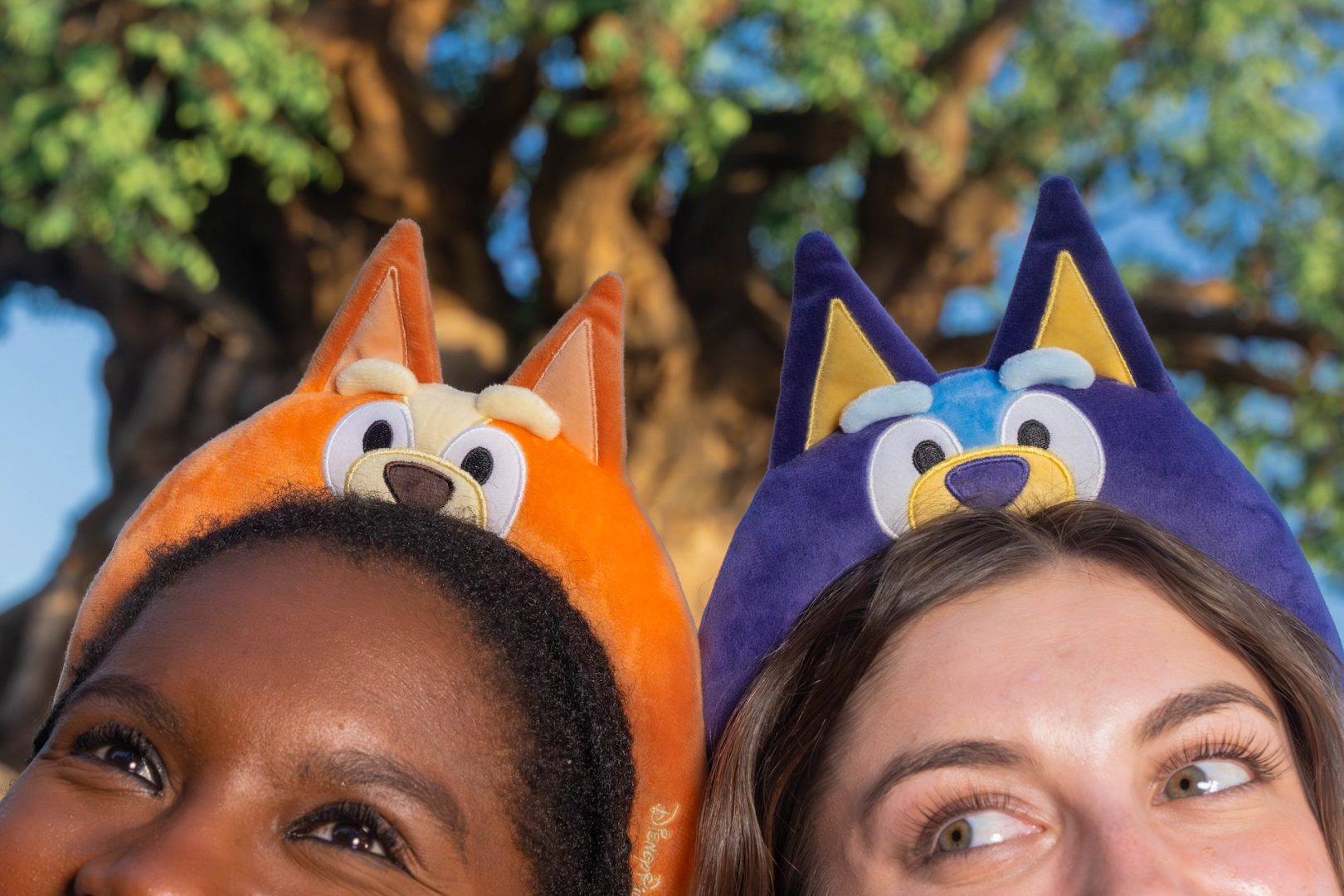 Everything You Need to Know about Bluey at Disney’s Animal Kingdom Merchandise