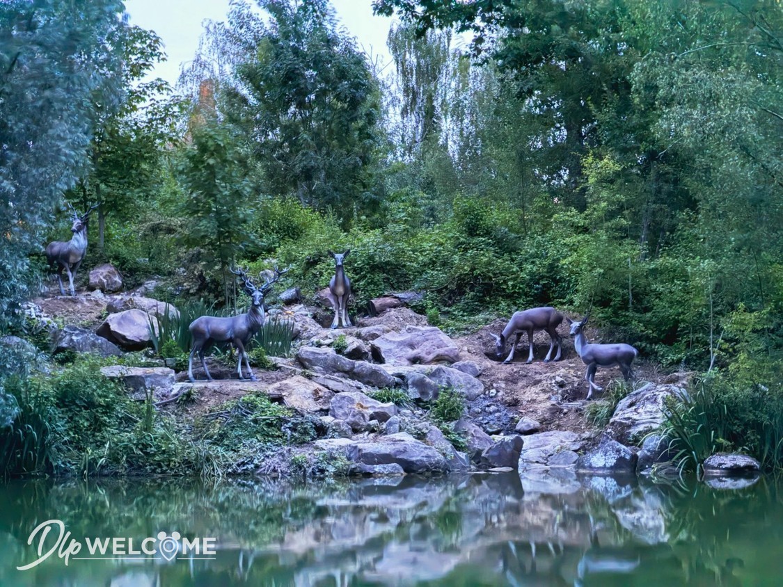 Frontierland: Explore New Immersive Scenes on the Rivers of the Far West