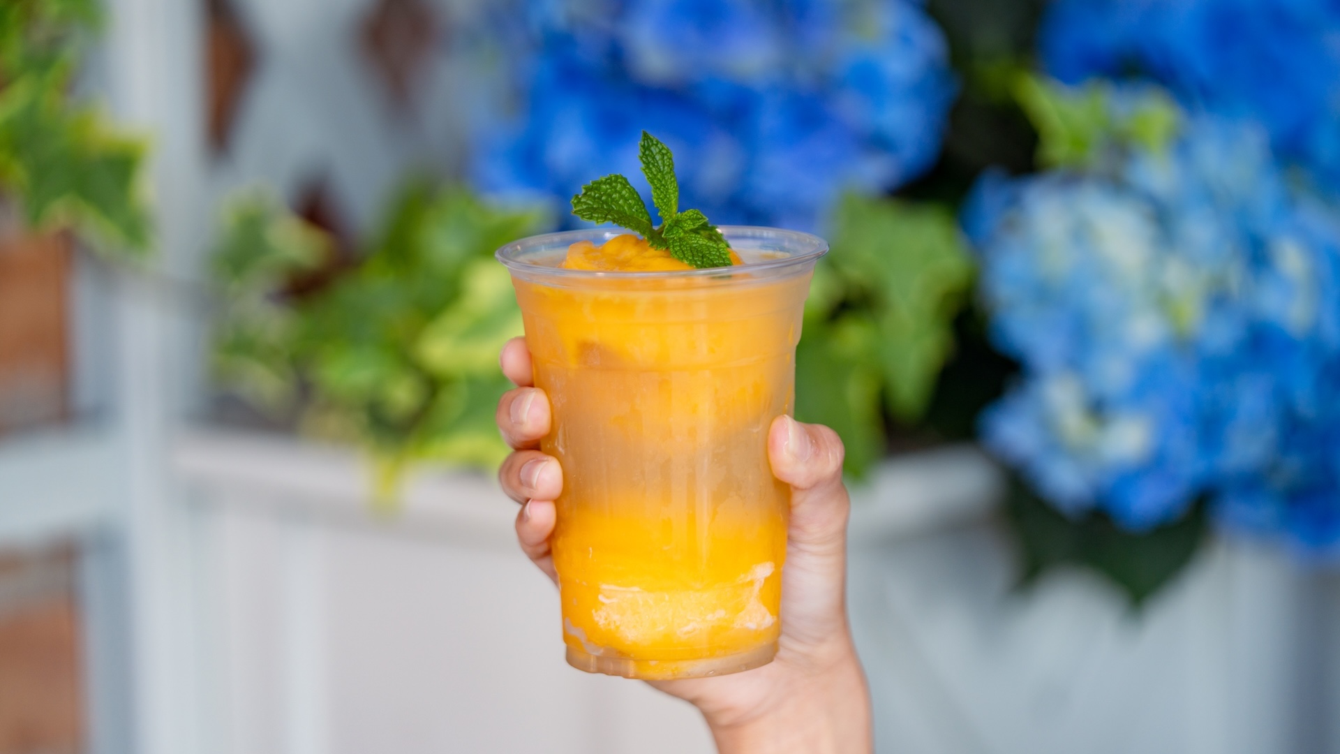 Disneyland Summer Cold Treats Mint Julep Float
