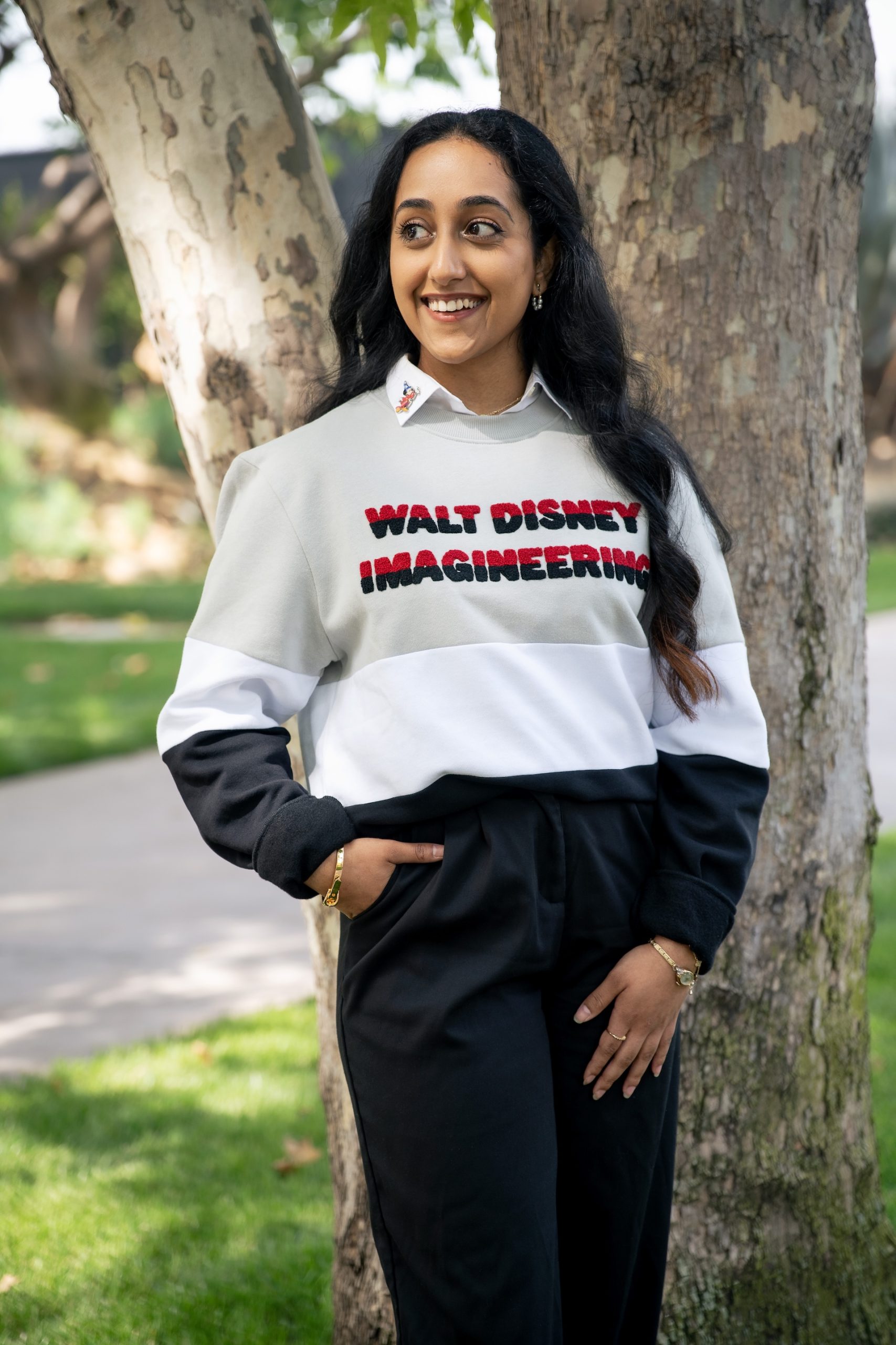 D23 The Ultimate Disney Fan Event Walt Disney Imagineering Color Block Collection