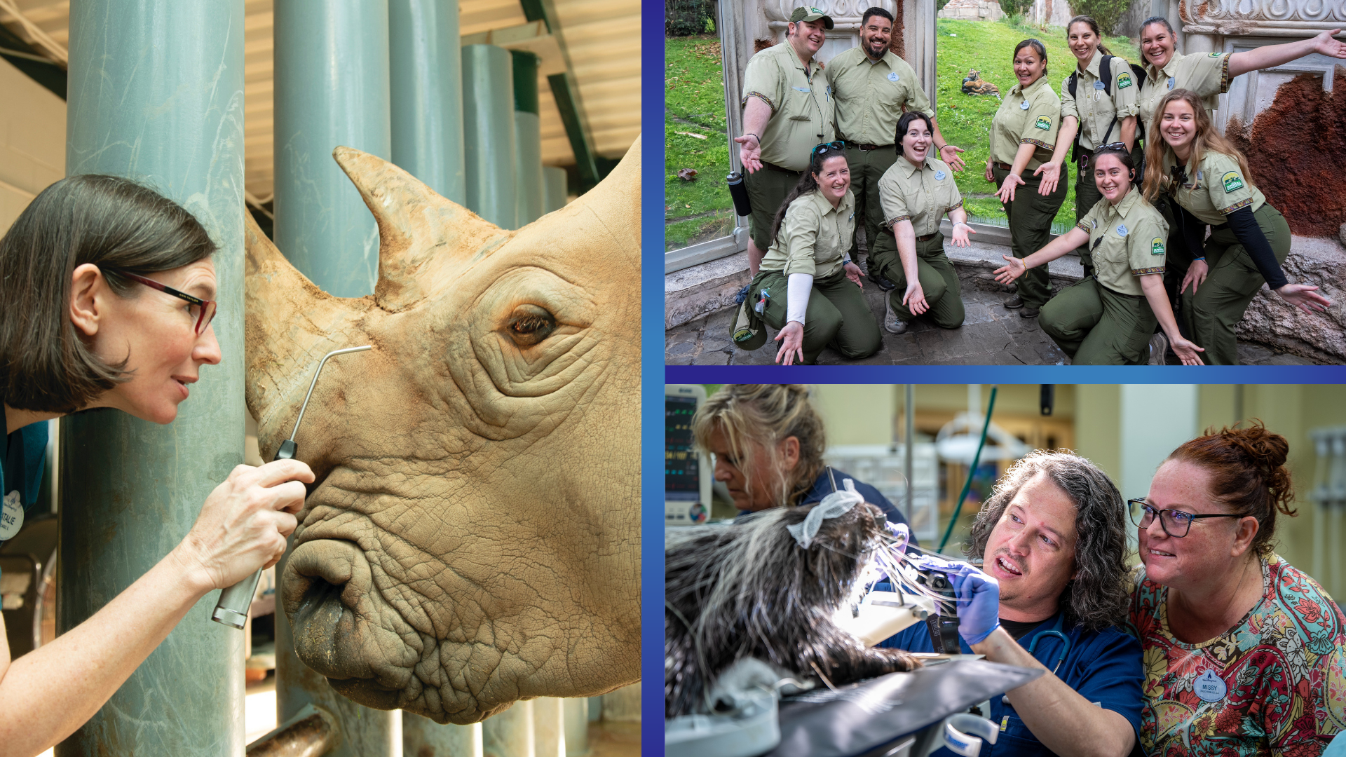 Exploring Animal Care Excellence at Disney’s Animal Kingdom
