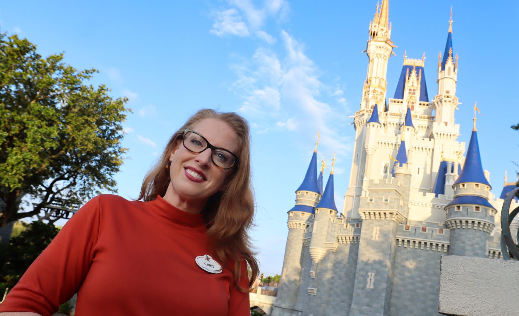 Cinderella Castle - Chris
