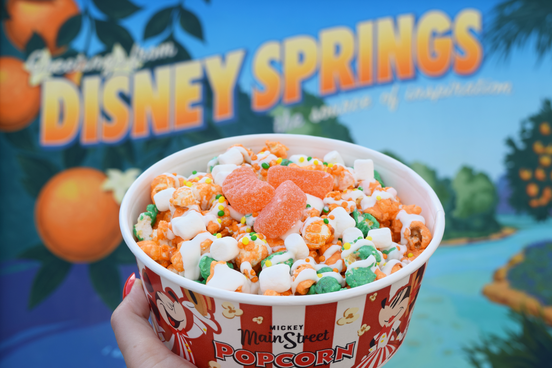 Goofy's Popcorn