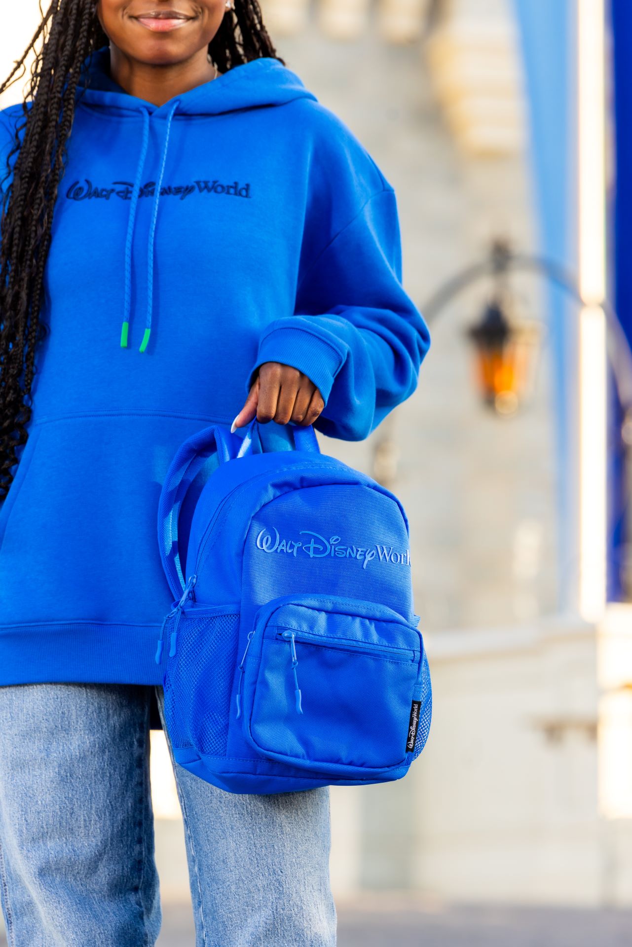 Last Day of Parks Blue Collection - Sweatshirt and Bag