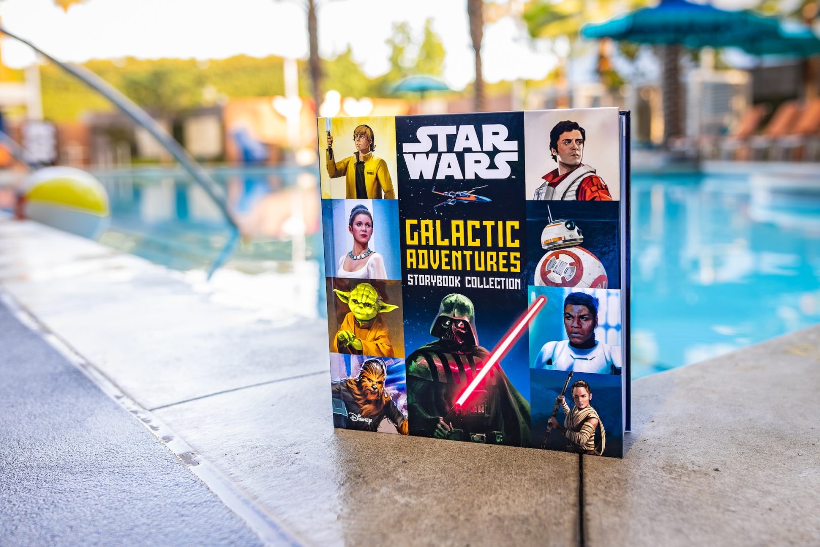 What to Read this Summer Based on Your Disney Parks Travel Personality