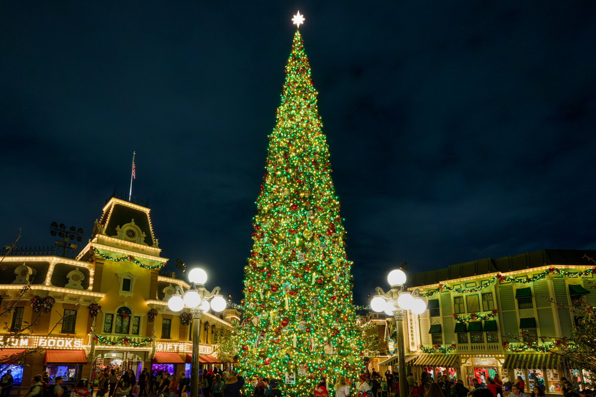 Christmas Tree Disneyland