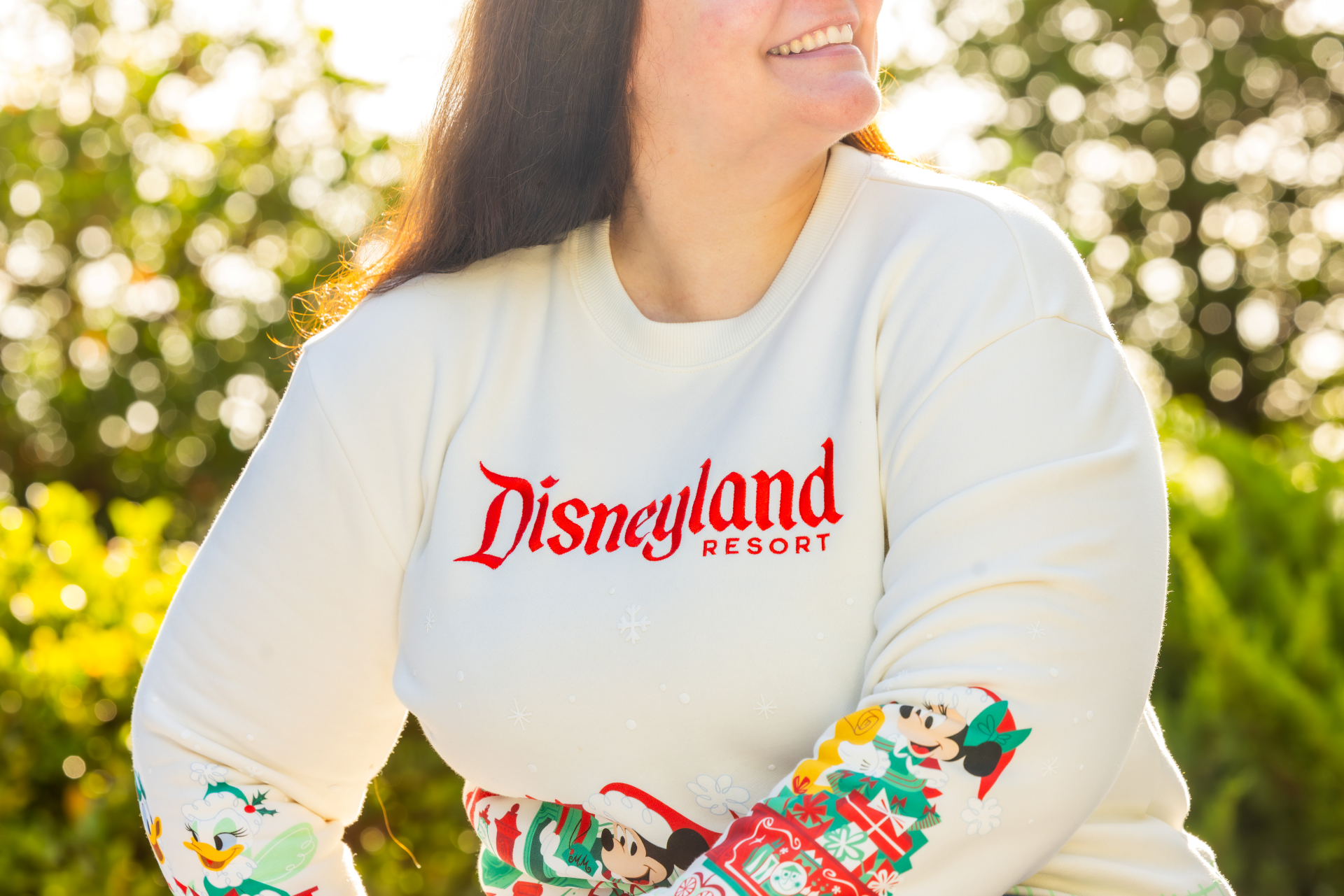 Disneyland Holiday Merchandise