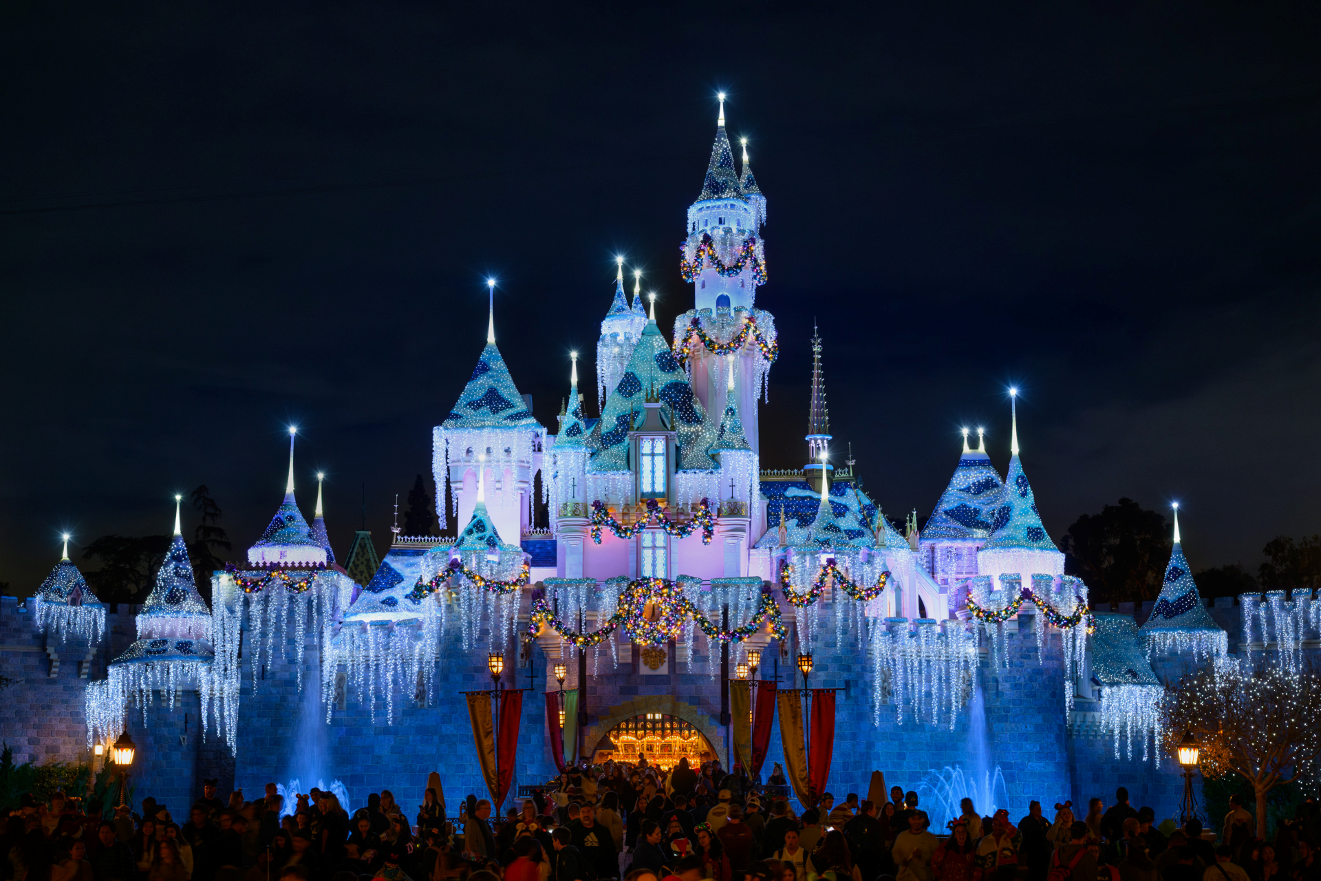 Sleeping Beauty Castle - Disneyland Holidays
