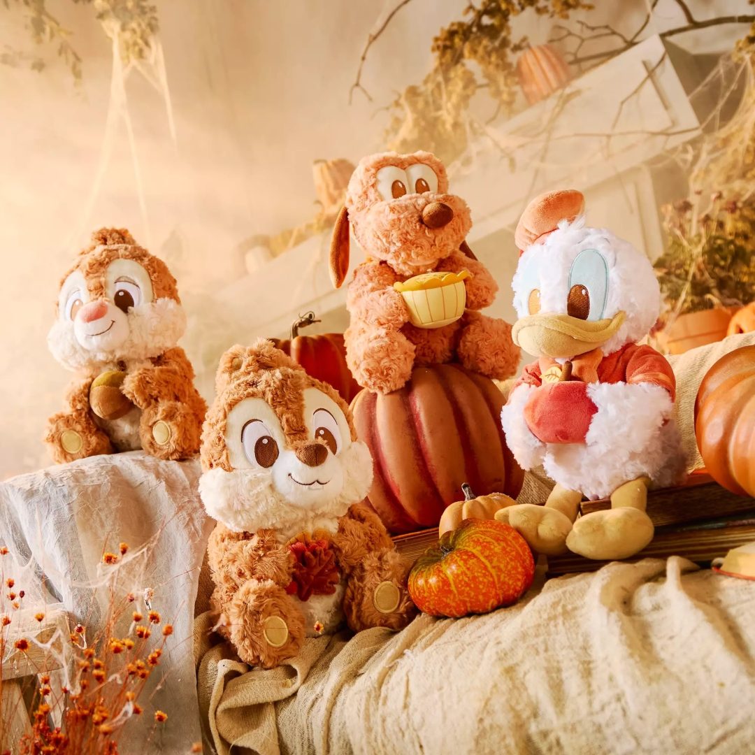 Disney Store Exclusive Fall Vibes Plush